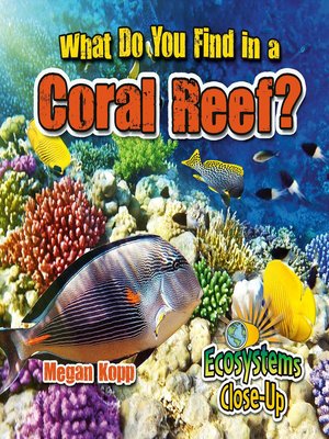 cover image of What Do You Find in a Coral Reef?